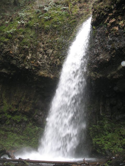 11.18.06 Latourell Falls 040 